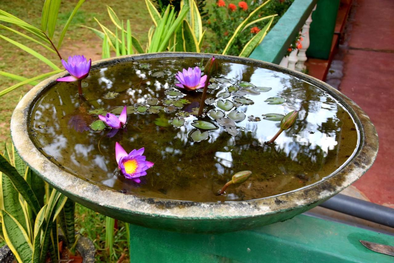 S P City Resort Anuradhapura Buitenkant foto